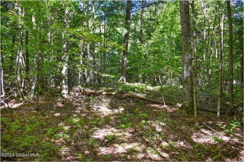 86 Carriage Knoll Road Chestertown NY 12817