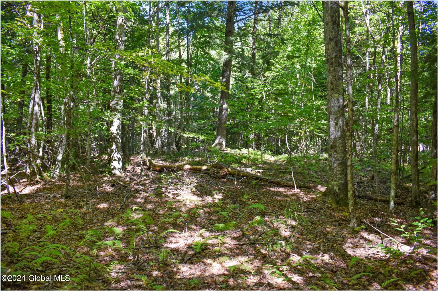 86 Carriage Knoll Road Chestertown NY 12817