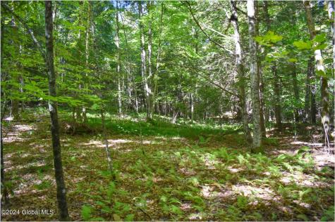 86 Carriage Knoll Road Chestertown NY 12817