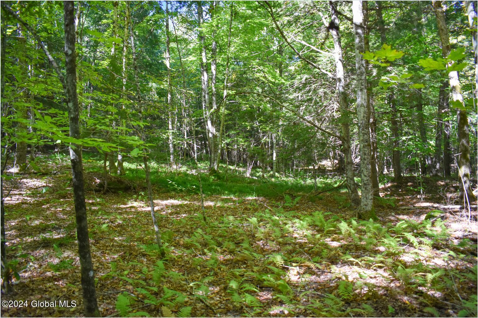 86 Carriage Knoll Road Chestertown NY 12817