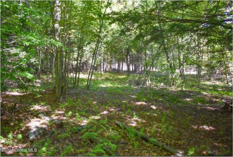 86 Carriage Knoll Road Chestertown NY 12817