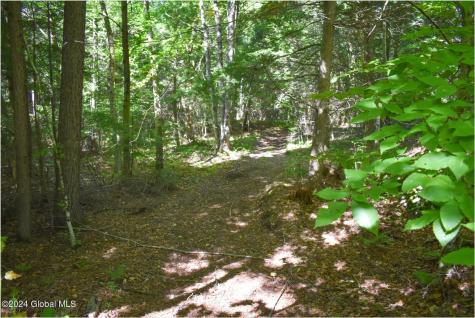 86 Carriage Knoll Road Chestertown NY 12817