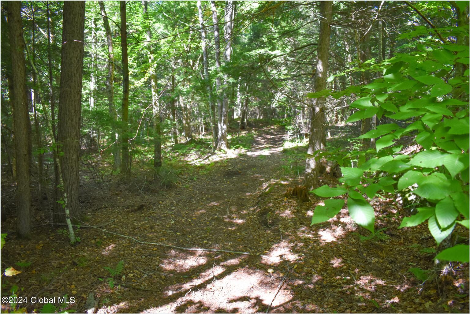 86 Carriage Knoll Road Chestertown NY 12817