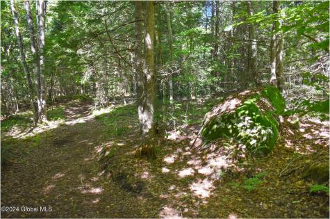 86 Carriage Knoll Road Chestertown NY 12817