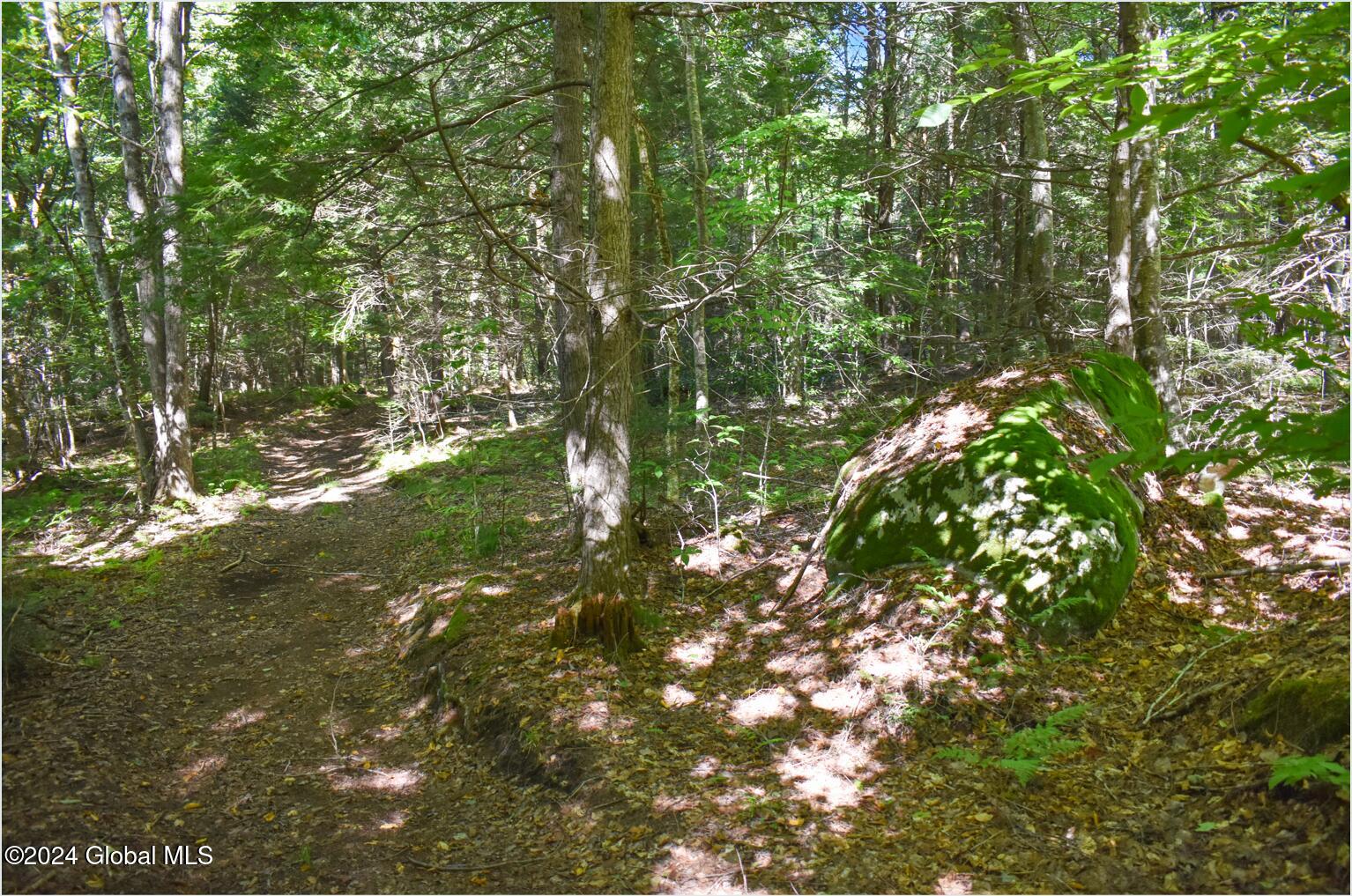 86 Carriage Knoll Road Chestertown NY 12817
