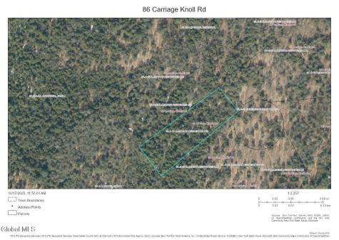 86 Carriage Knoll Road Chestertown NY 12817