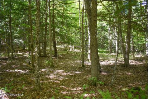 86 Carriage Knoll Road Chestertown NY 12817