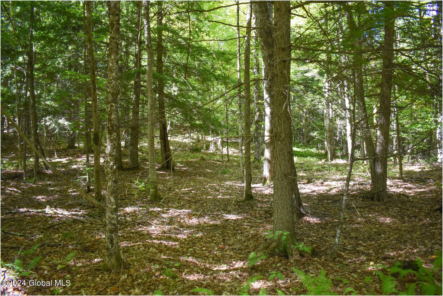86 Carriage Knoll Road Chestertown NY 12817