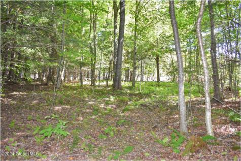 86 Carriage Knoll Road Chestertown NY 12817