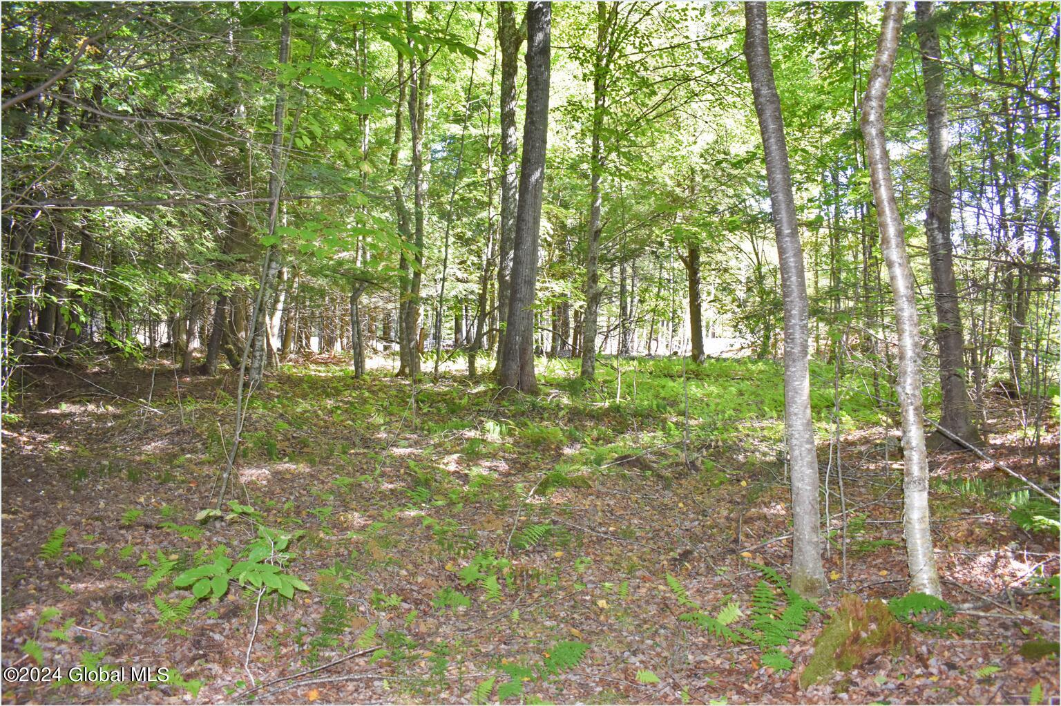 86 Carriage Knoll Road Chestertown NY 12817
