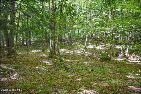 86 Carriage Knoll Road Chestertown NY 12817