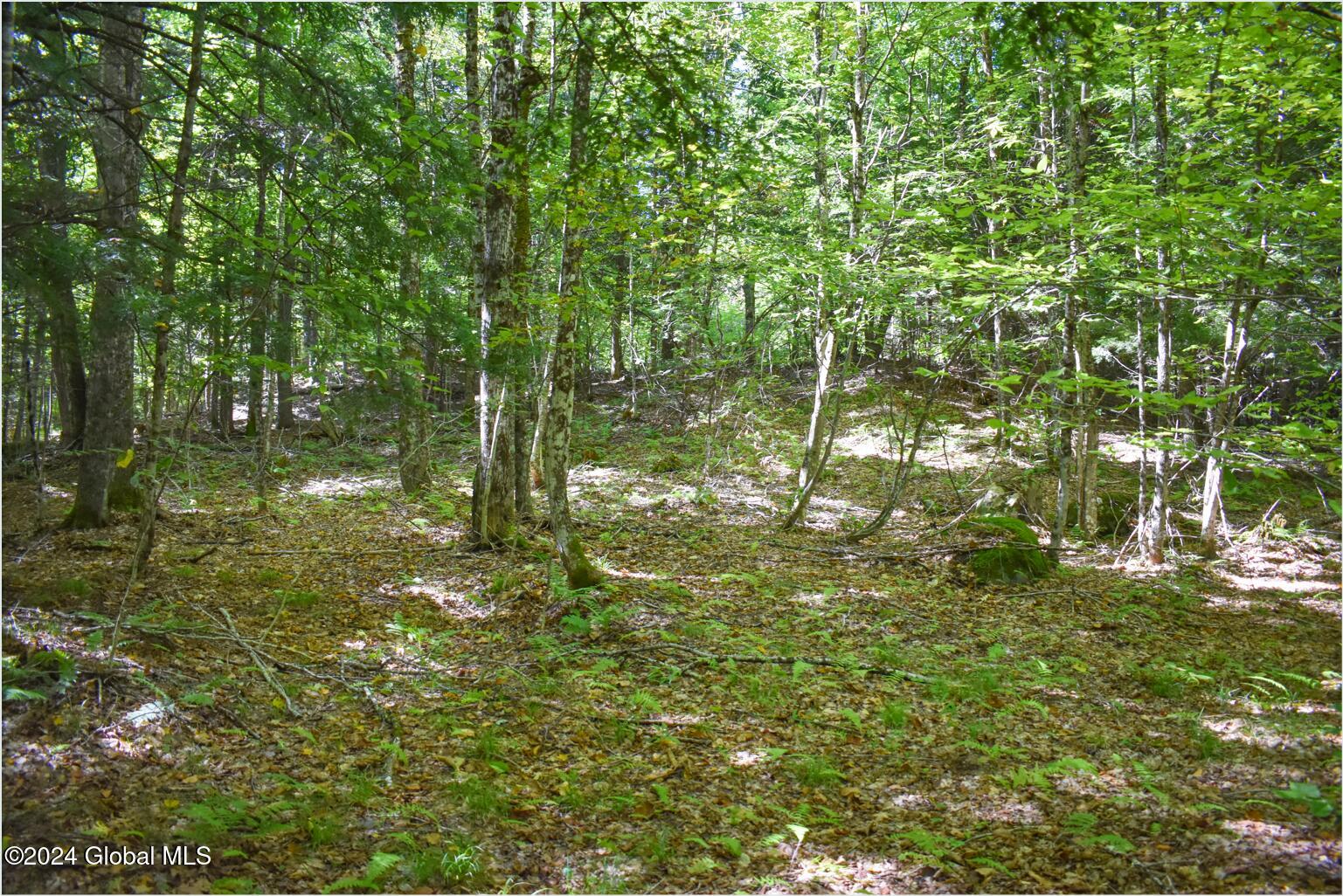 86 Carriage Knoll Road Chestertown NY 12817