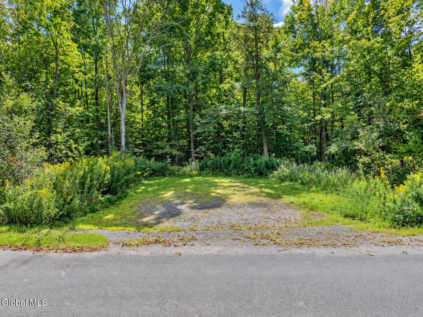 595 S Shore Road Duanesburg NY 12053