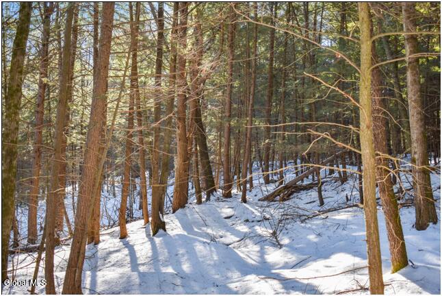 22 Carriage Knolls Road Chestertown NY 12817