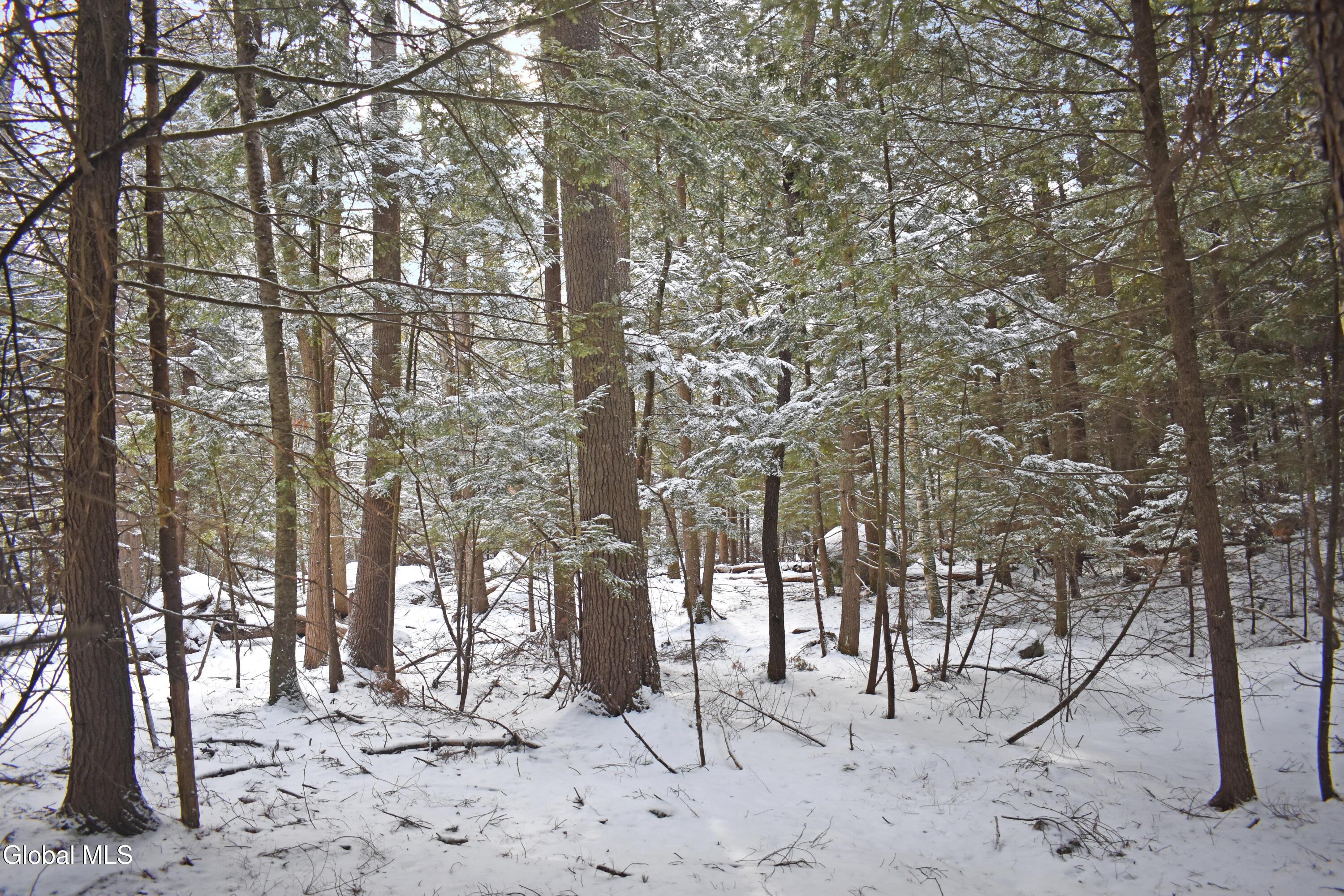 22 Carriage Knolls Road Chestertown NY 12817