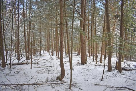 22 Carriage Knolls Road Chestertown NY 12817
