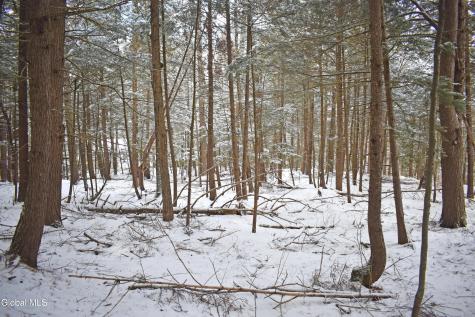 22 Carriage Knolls Road Chestertown NY 12817