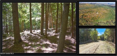 106 Carriage Knoll Road Chestertown NY 12817