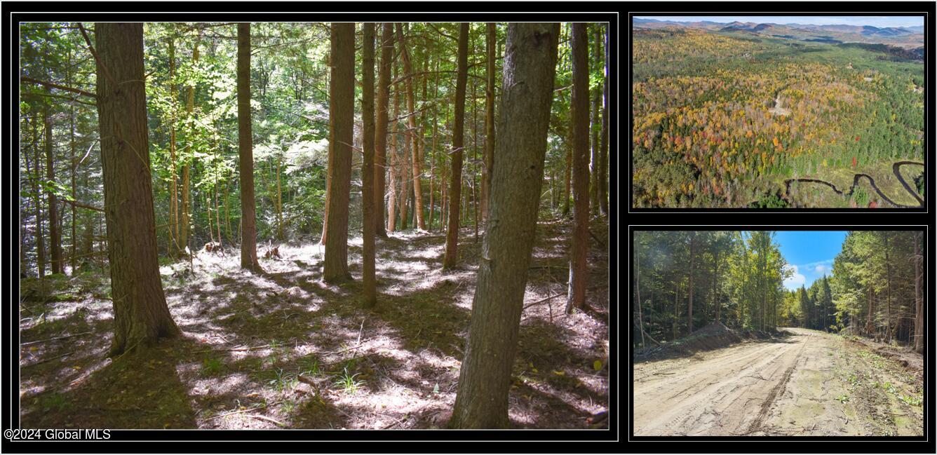 106 Carriage Knoll Road Chestertown NY 12817