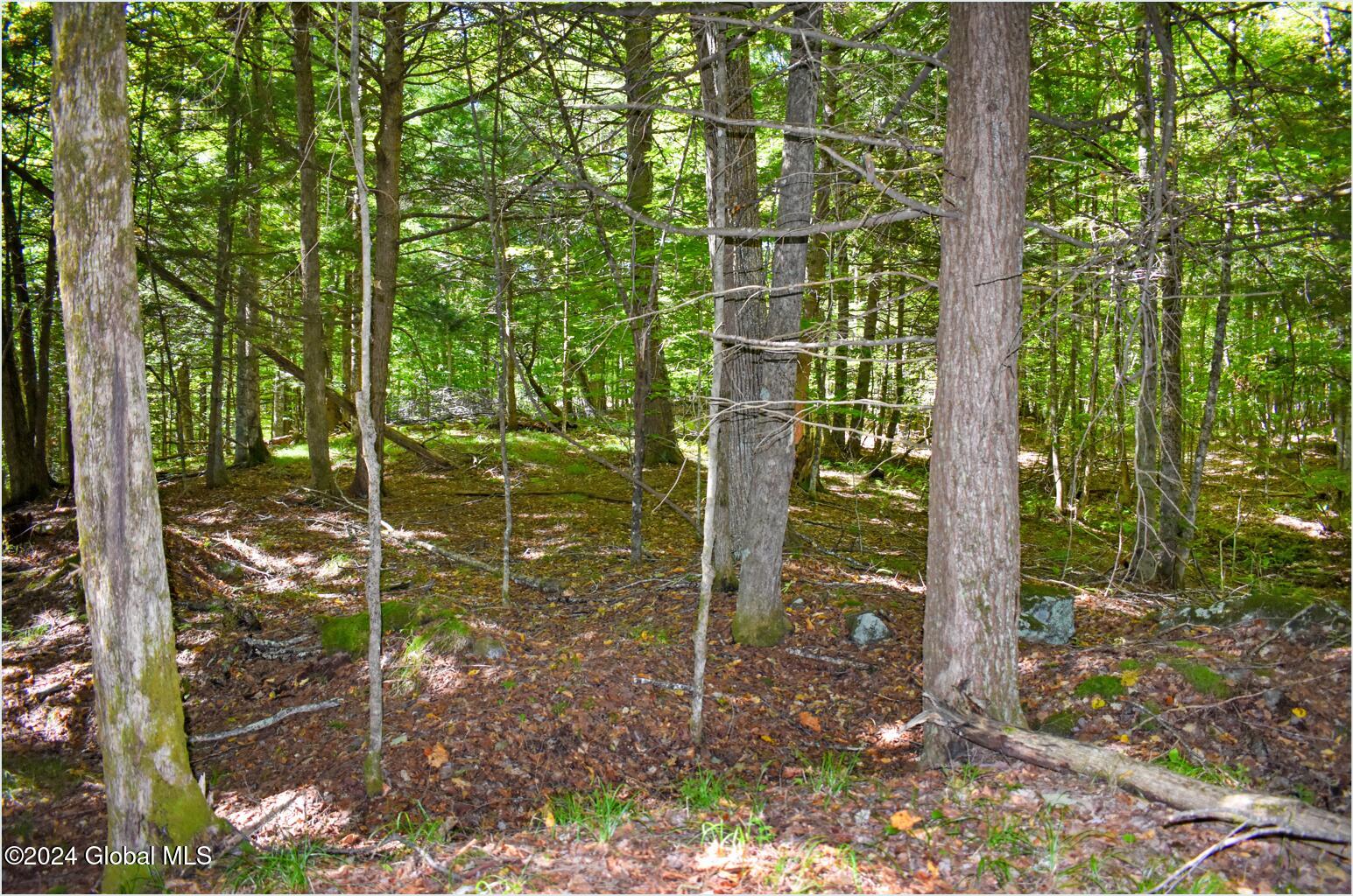 106 Carriage Knoll Road Chestertown NY 12817