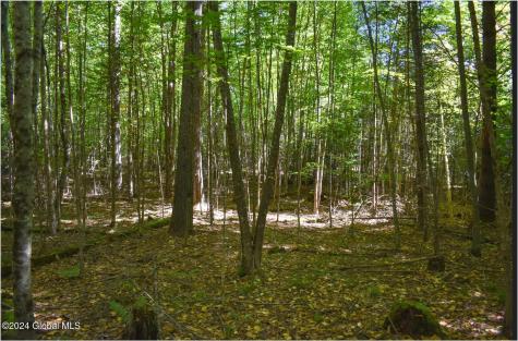106 Carriage Knoll Road Chestertown NY 12817