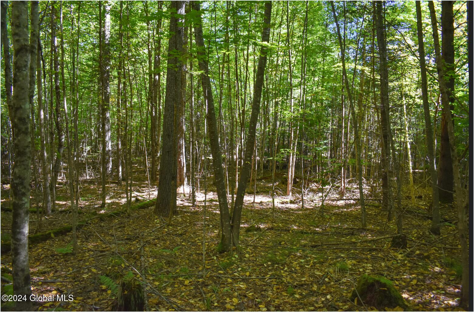 106 Carriage Knoll Road Chestertown NY 12817