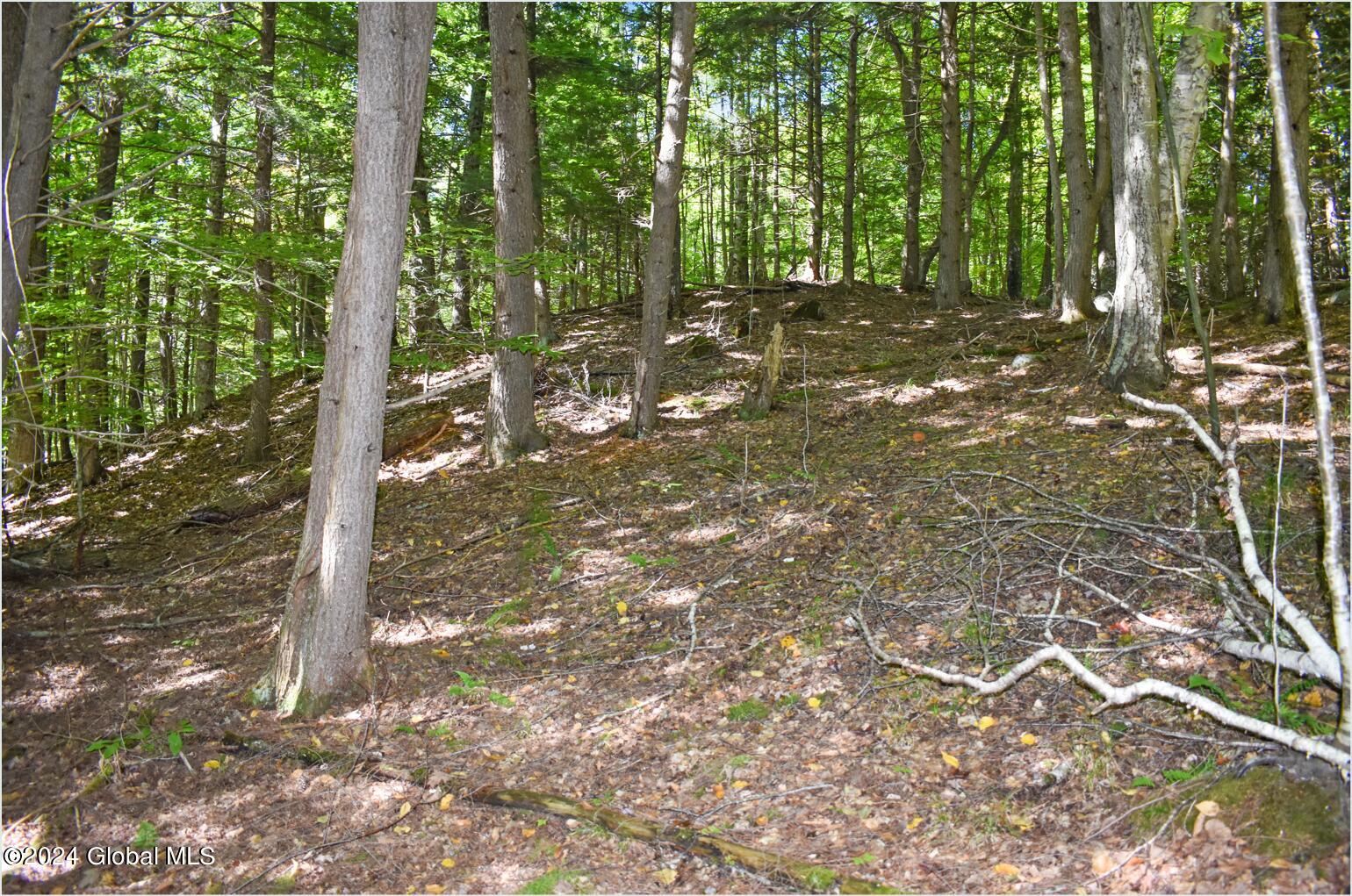 106 Carriage Knoll Road Chestertown NY 12817