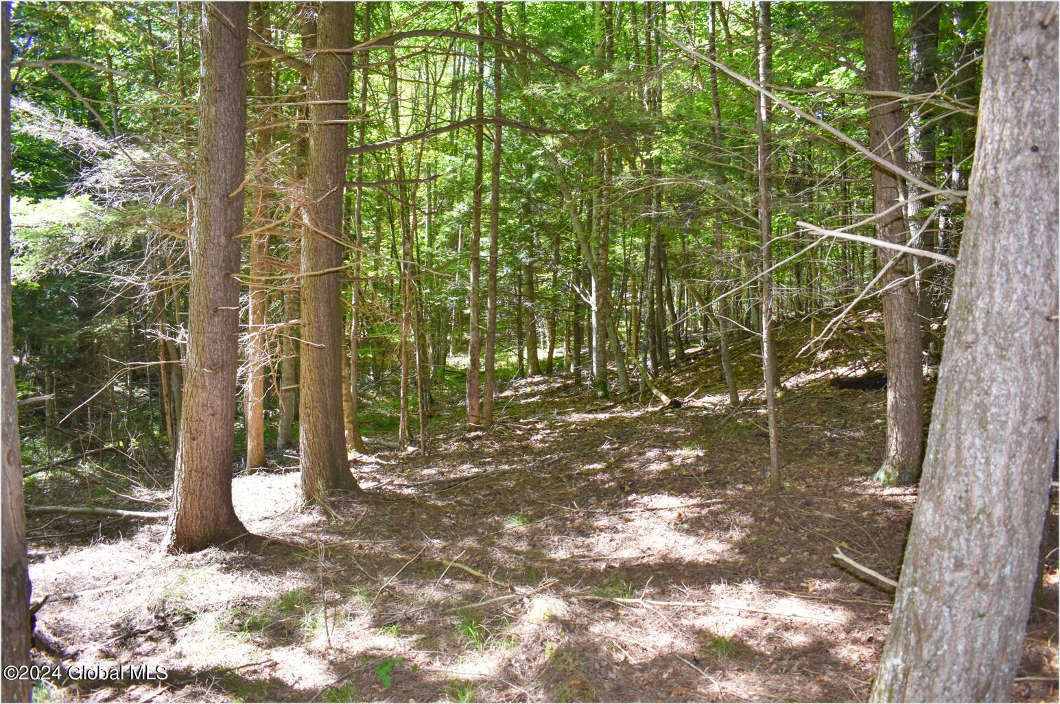 106 Carriage Knoll Road Chestertown NY 12817
