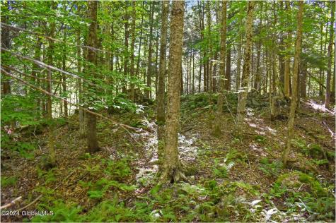 106 Carriage Knoll Road Chestertown NY 12817