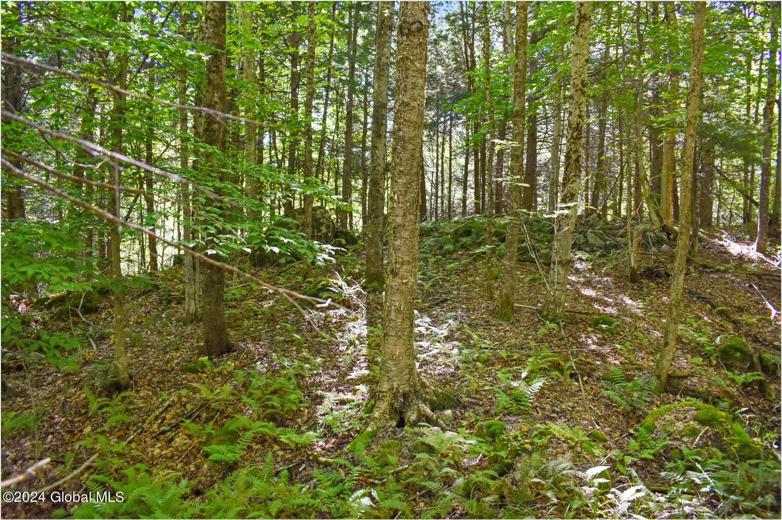 106 Carriage Knoll Road Chestertown NY 12817
