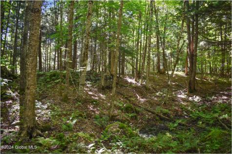 106 Carriage Knoll Road Chestertown NY 12817