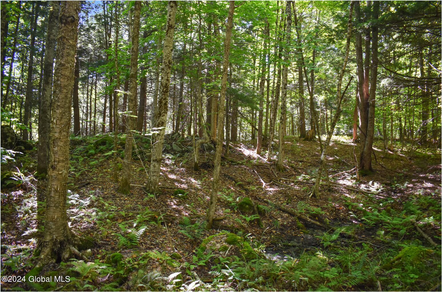 106 Carriage Knoll Road Chestertown NY 12817