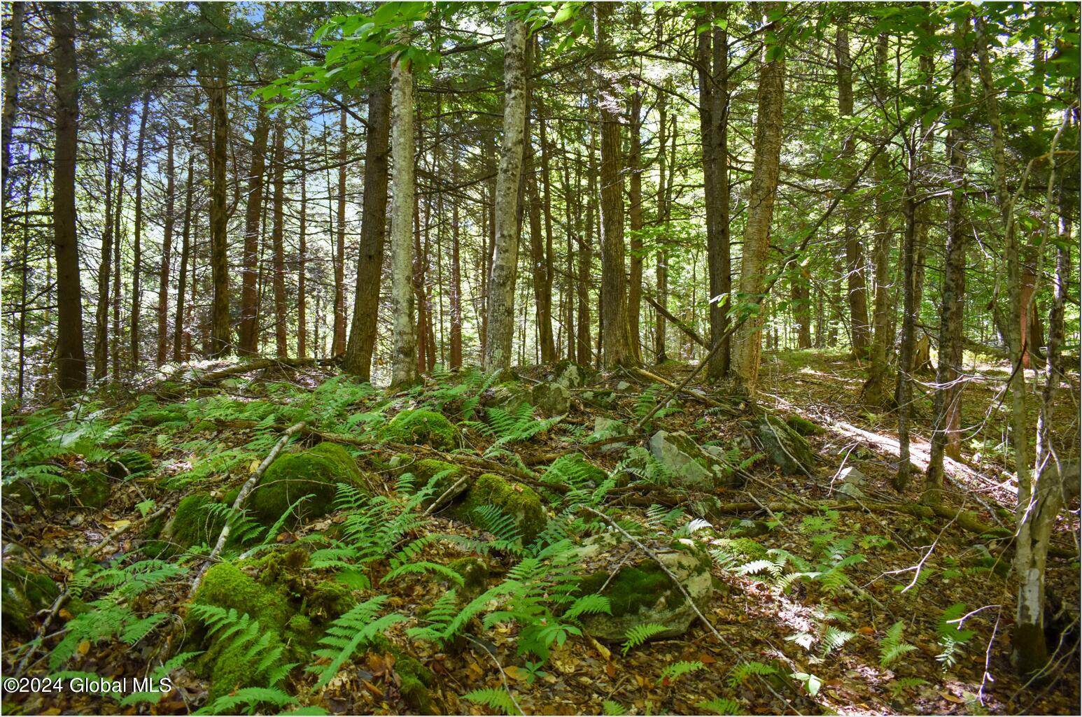 106 Carriage Knoll Road Chestertown NY 12817