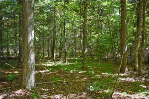 106 Carriage Knoll Road Chestertown NY 12817