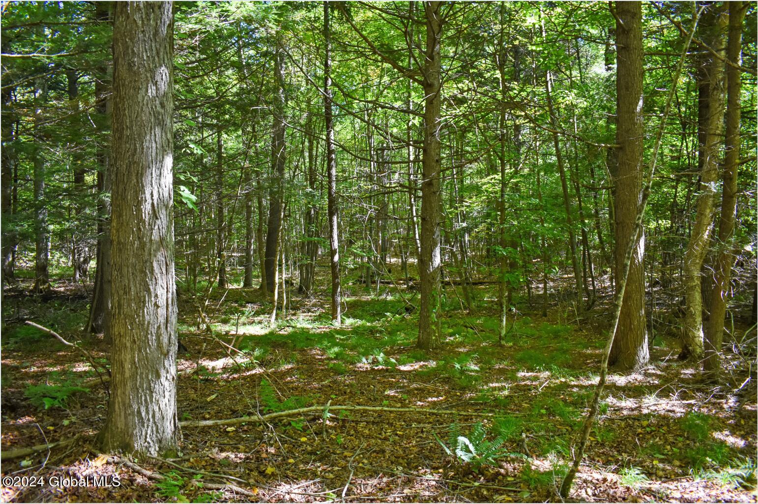 106 Carriage Knoll Road Chestertown NY 12817