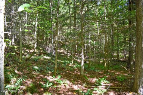106 Carriage Knoll Road Chestertown NY 12817