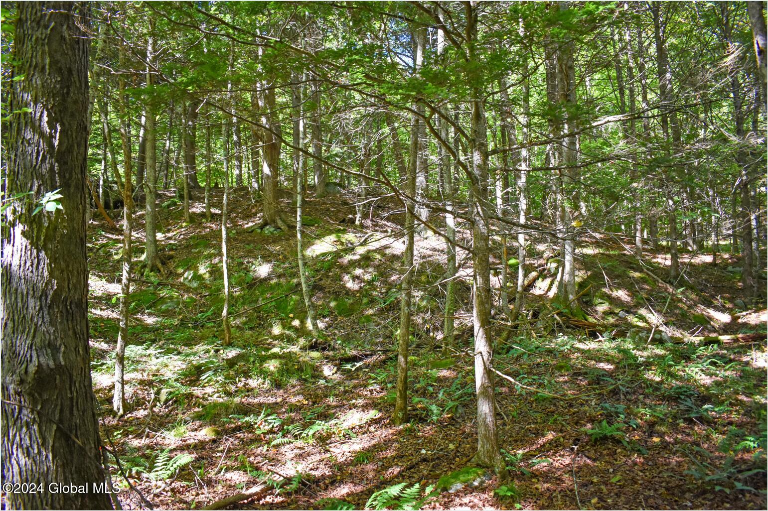 106 Carriage Knoll Road Chestertown NY 12817