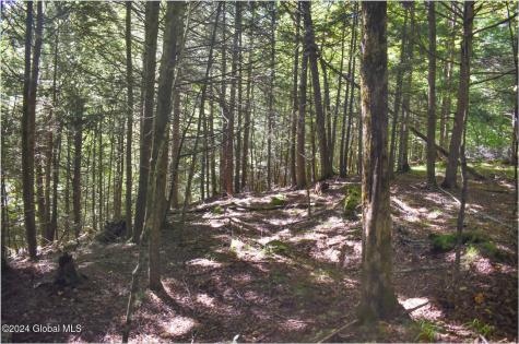 106 Carriage Knoll Road Chestertown NY 12817