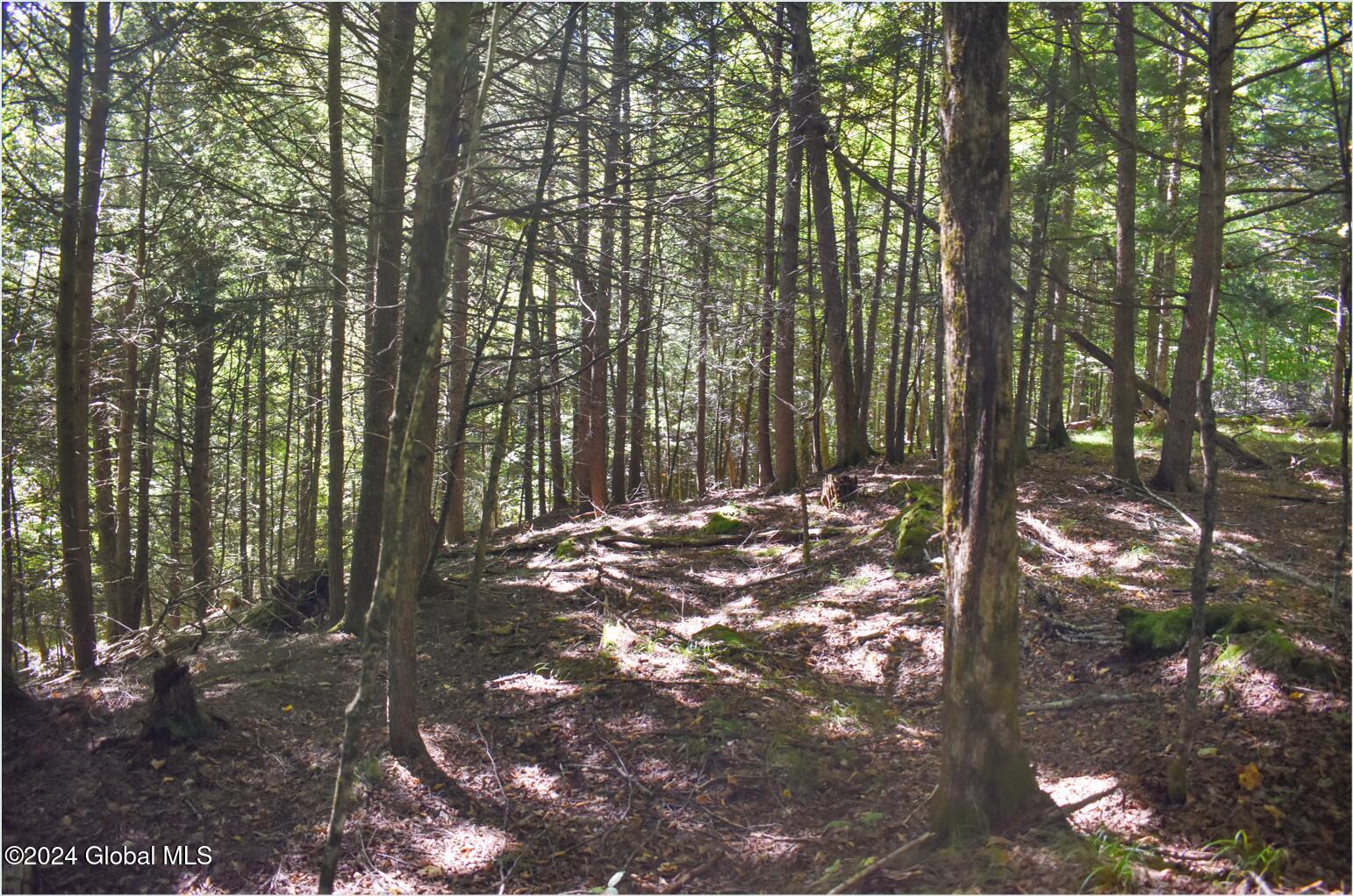 106 Carriage Knoll Road Chestertown NY 12817
