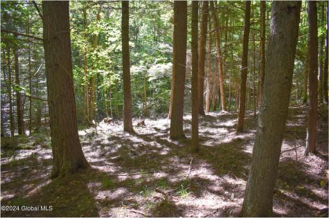 106 Carriage Knoll Road Chestertown NY 12817