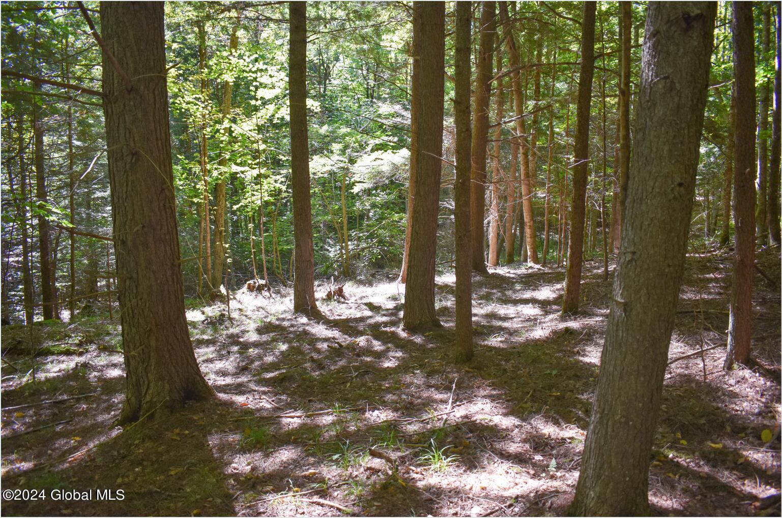 106 Carriage Knoll Road Chestertown NY 12817