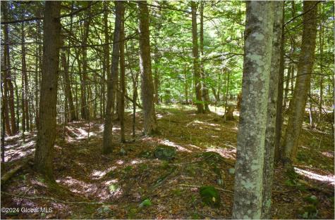106 Carriage Knoll Road Chestertown NY 12817