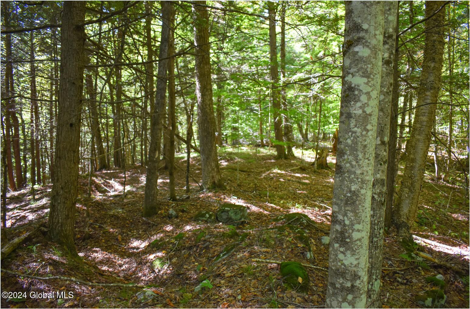 106 Carriage Knoll Road Chestertown NY 12817
