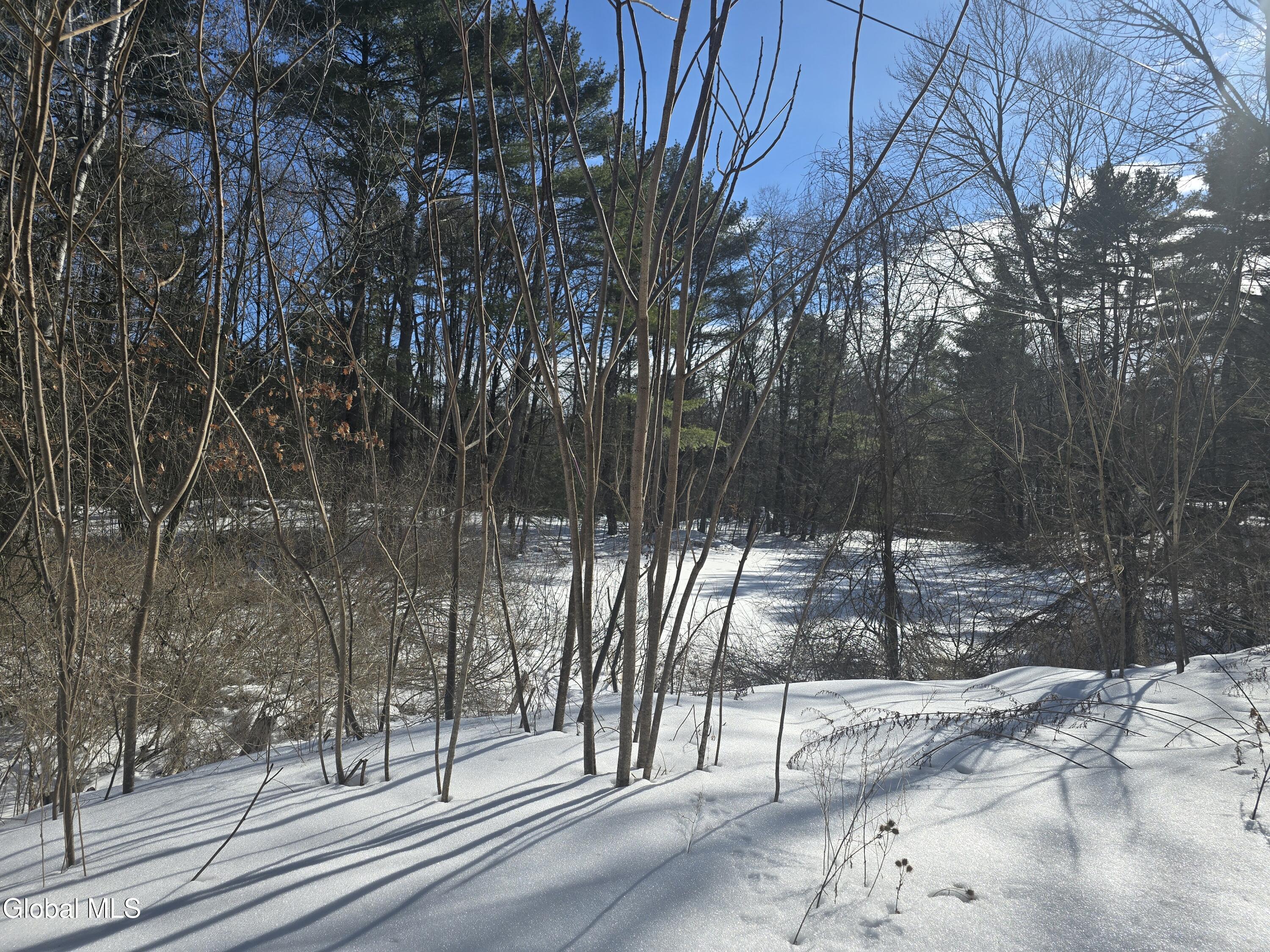 674 Lily Pond Road Granville NY 12832