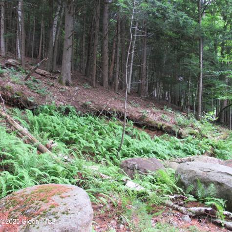 2348 S Shore Road Hadley NY 12835