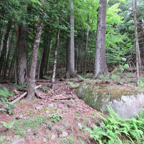 2348 S Shore Road Hadley NY 12835