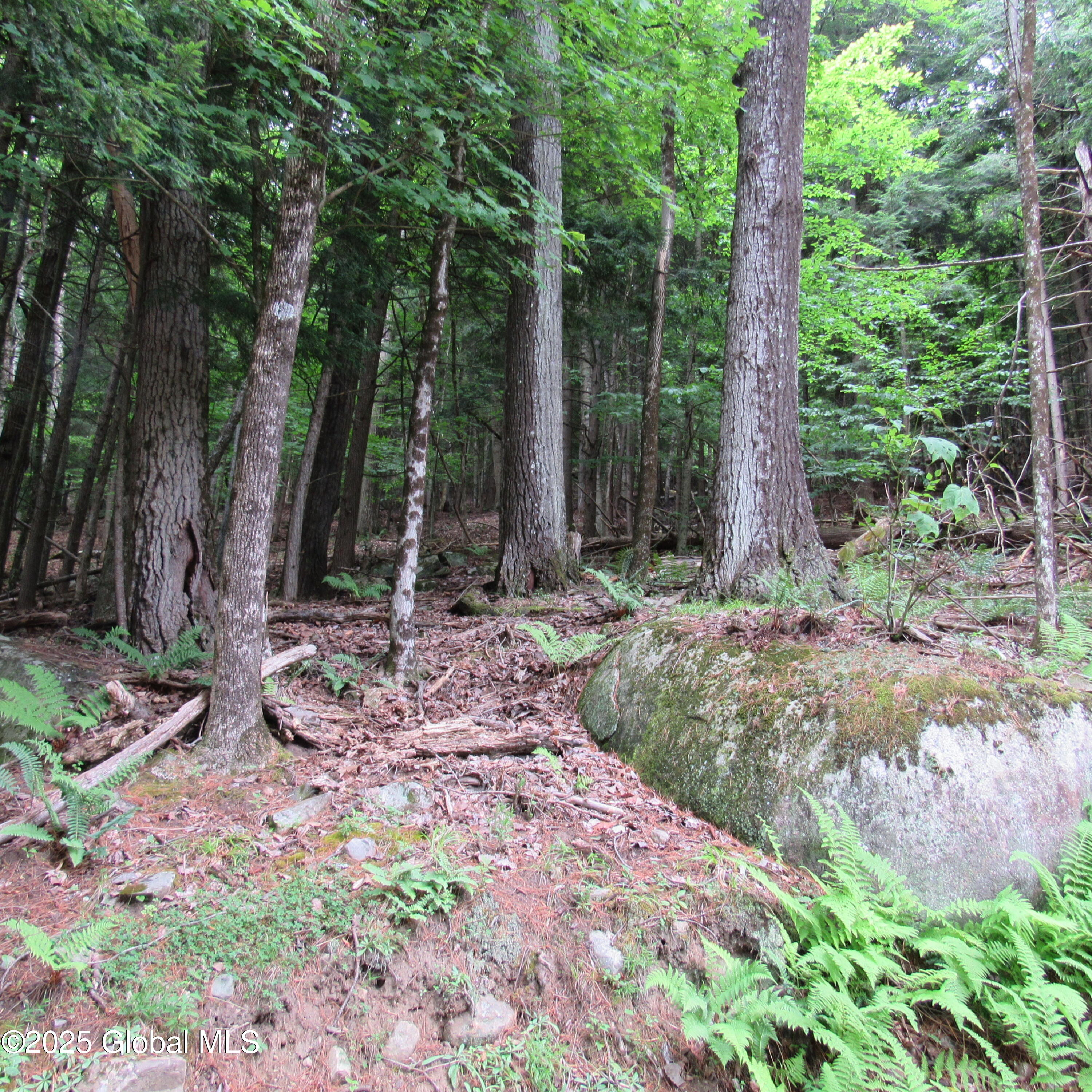 2348 S Shore Road Hadley NY 12835