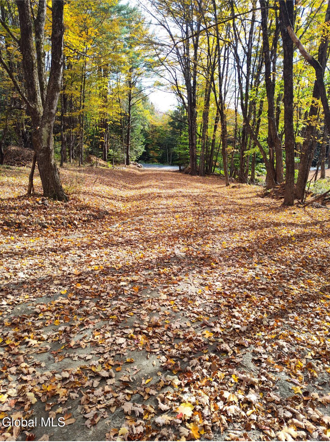 63 Varville Road Petersburgh NY 12138