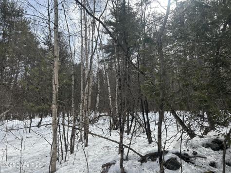 L22.120 Hog Back Road Essex NY 12928