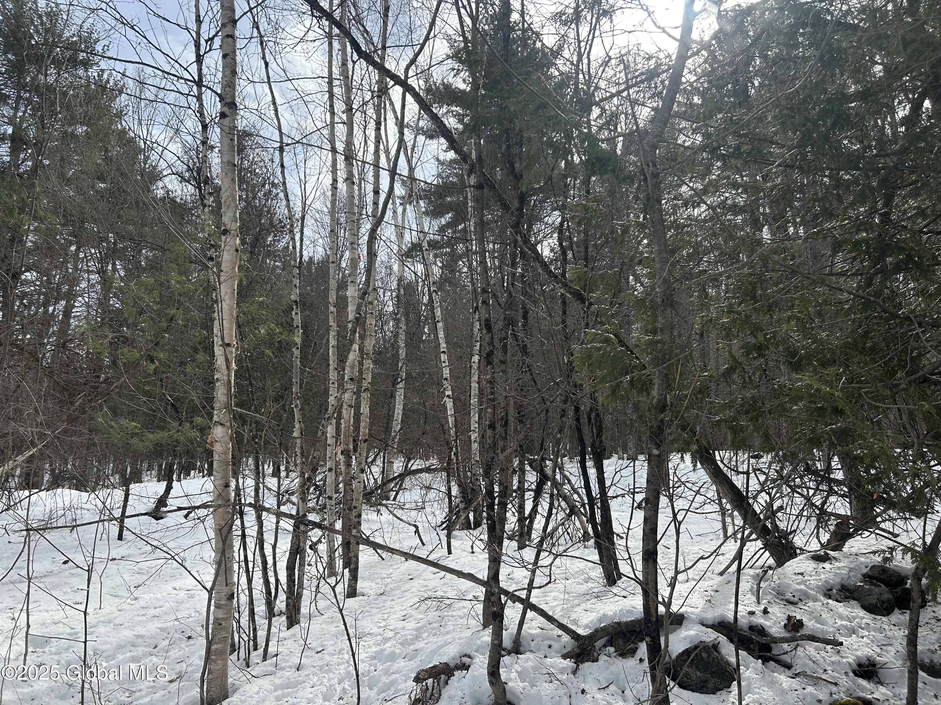 L22.120 Hog Back Road Essex NY 12928